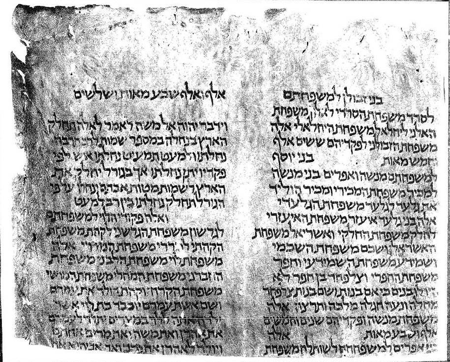 Torah Scroll Fragment - Ziereis Facsimiles